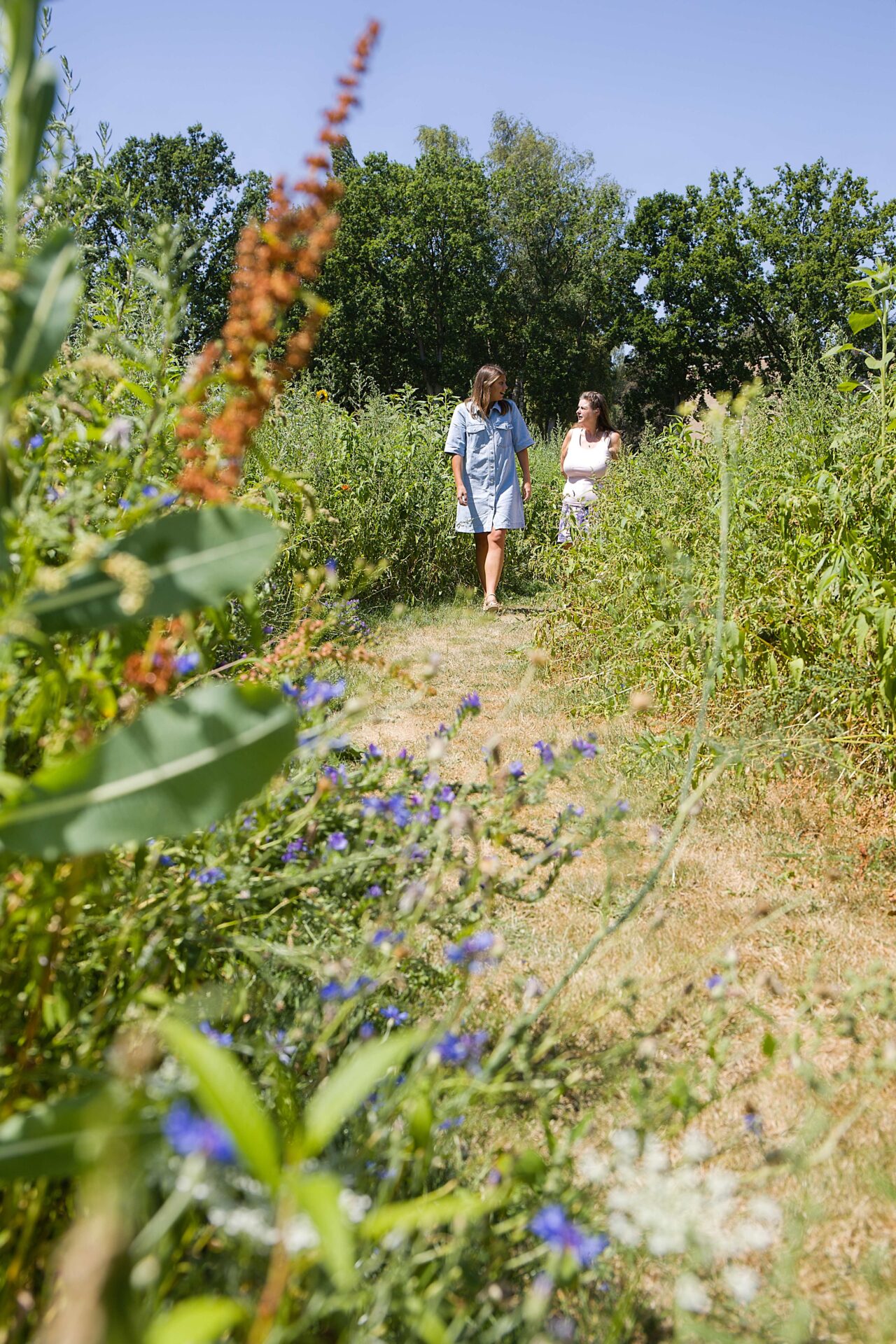 Twee personen wandelen